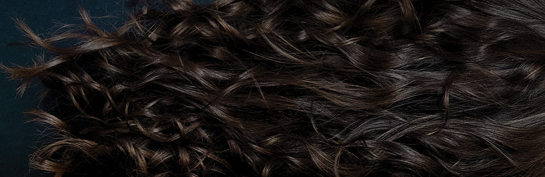 close-up image of long, curly brunette hair