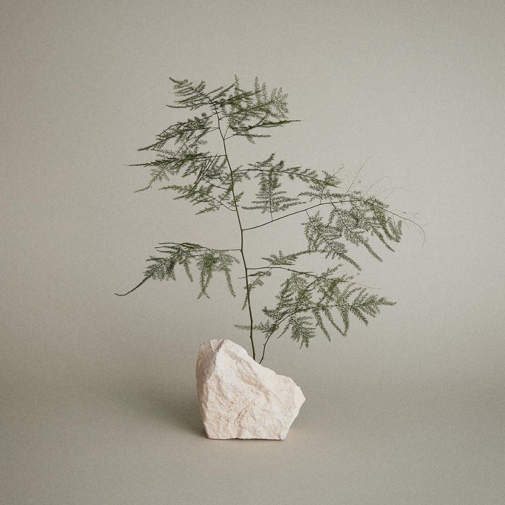 Australian Tea Tree