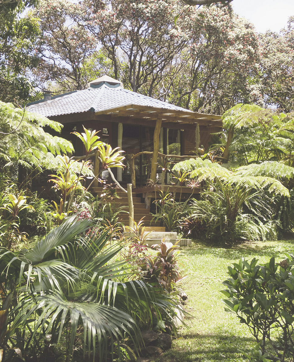 <em>Awapuhi Farm</em>