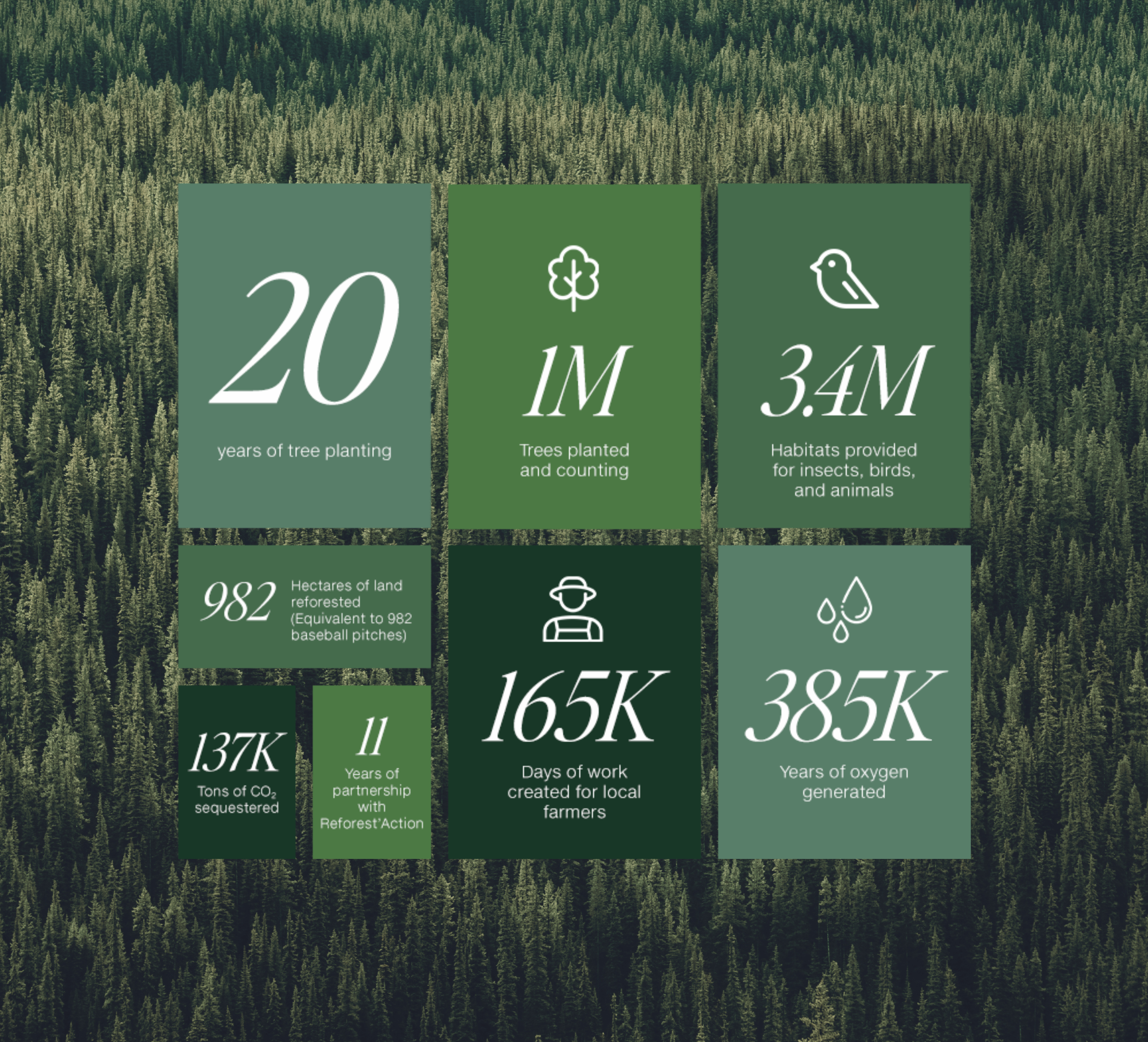 <em>TREE PLANTING ROUNDUP</em>