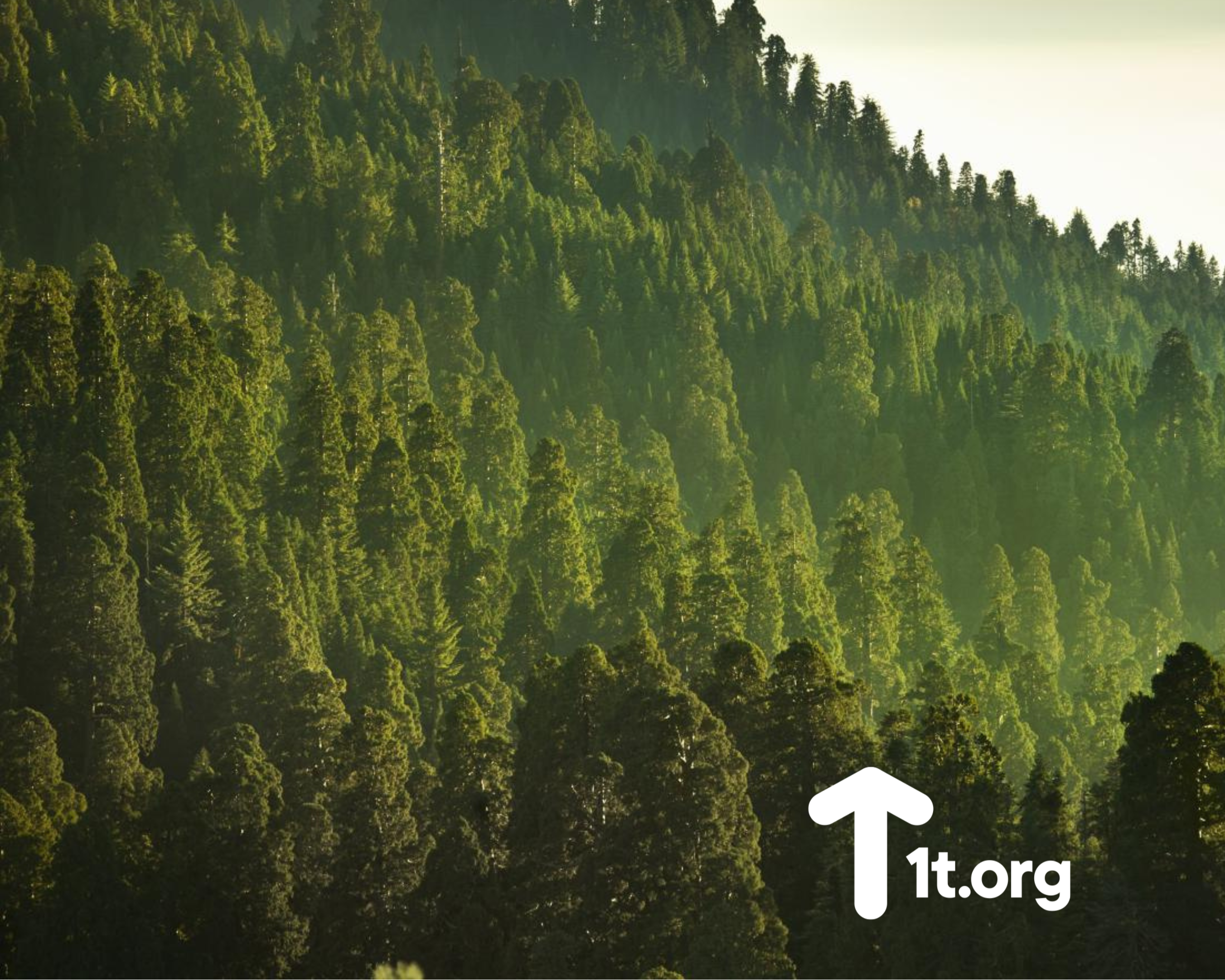 <em>OUR COMMITMENT</em>