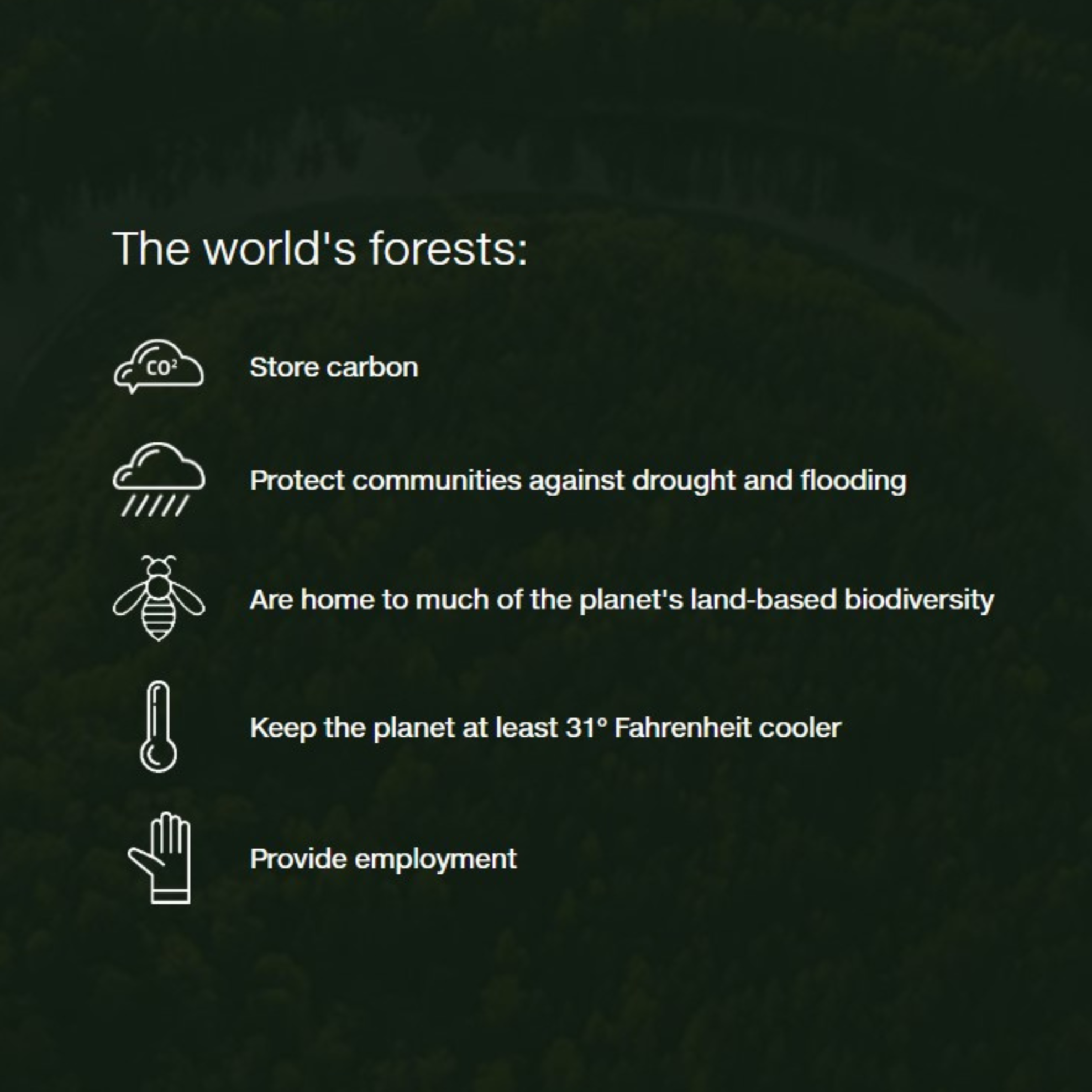 <em>The Benefits</em>