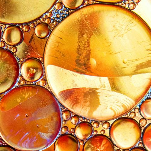 Plant-Based Lipids and Oleic Acid