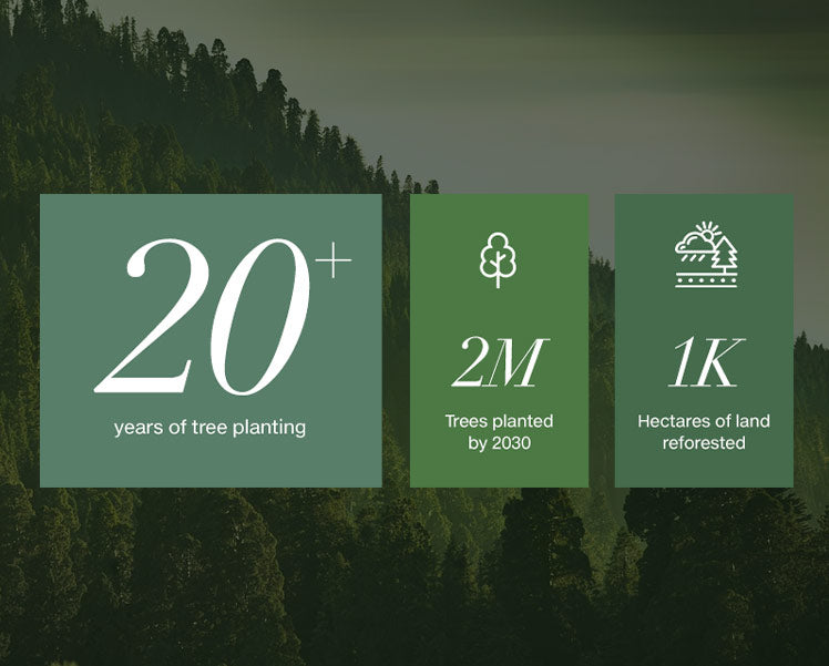 Impact <em>in Action</em>