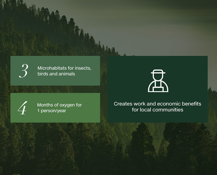 Impact <em>in Action</em>