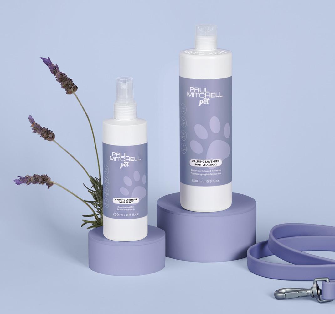 <em>Calming Lavender Mint Shampoo</em>