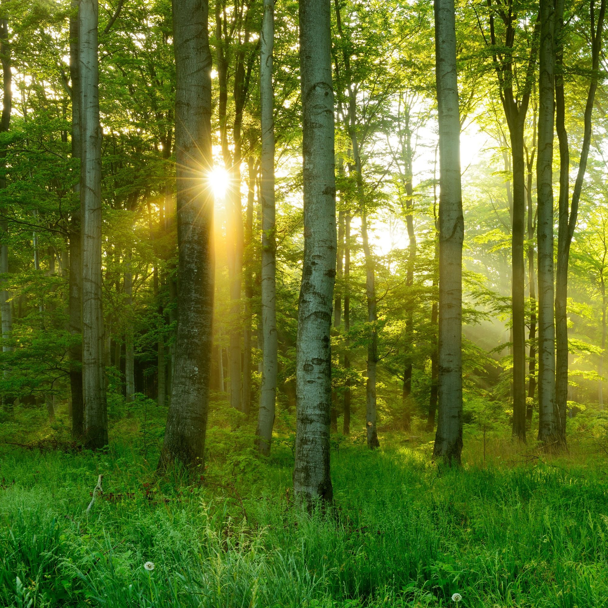 <em>Featured Partner</em>