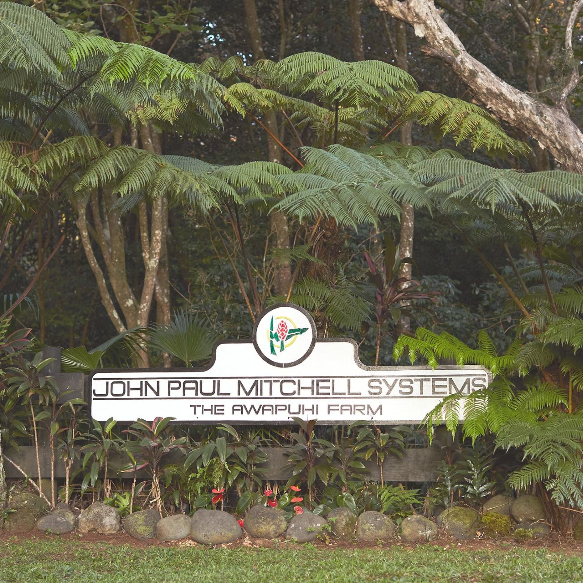 <em>A Little Piece of Paradise</em>