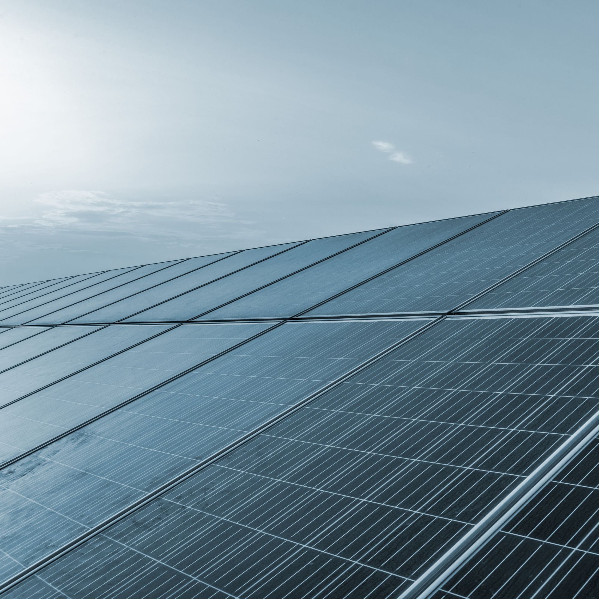 393,998 <em>Solar Power kWh Generated</em>