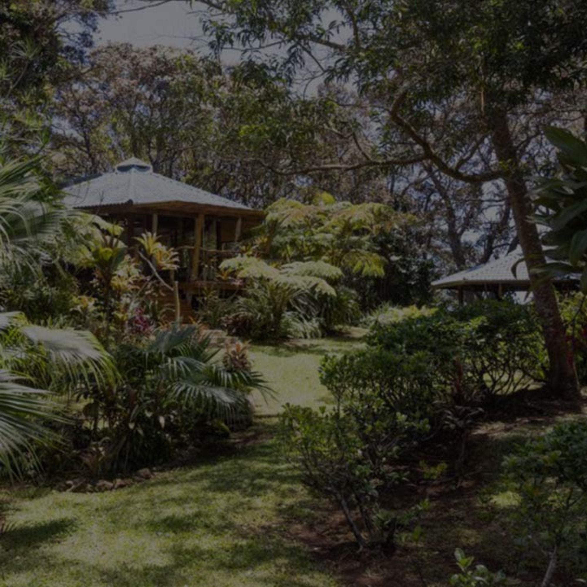 <em>Hawaiian roots since 1983</em>