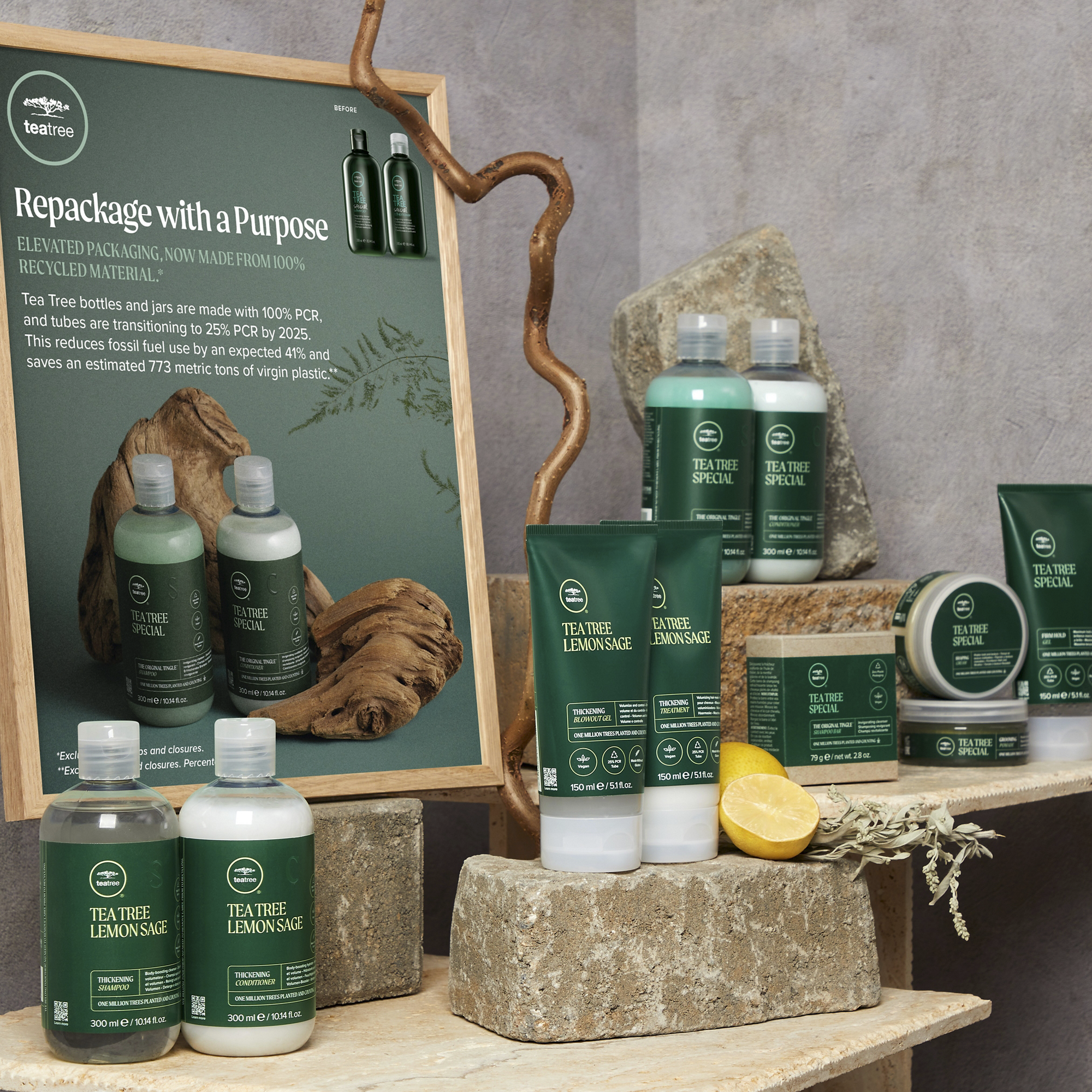 <em>What JPMS Is Doing</em>