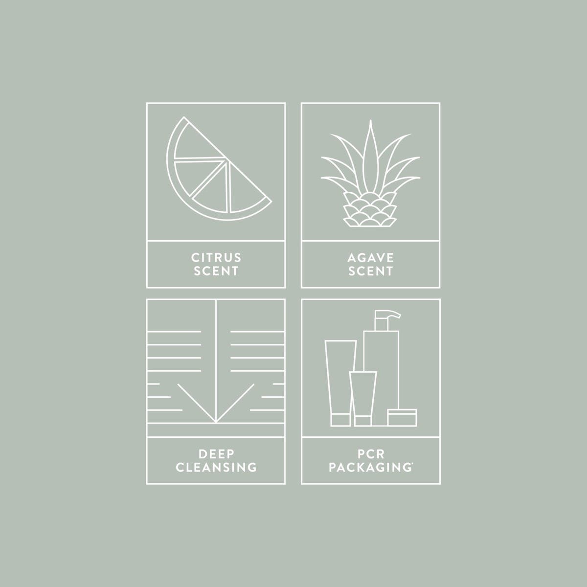 Infographic for packaging, fragrance, and results