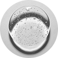 Panthenol