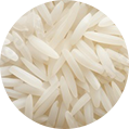 Rice Protein