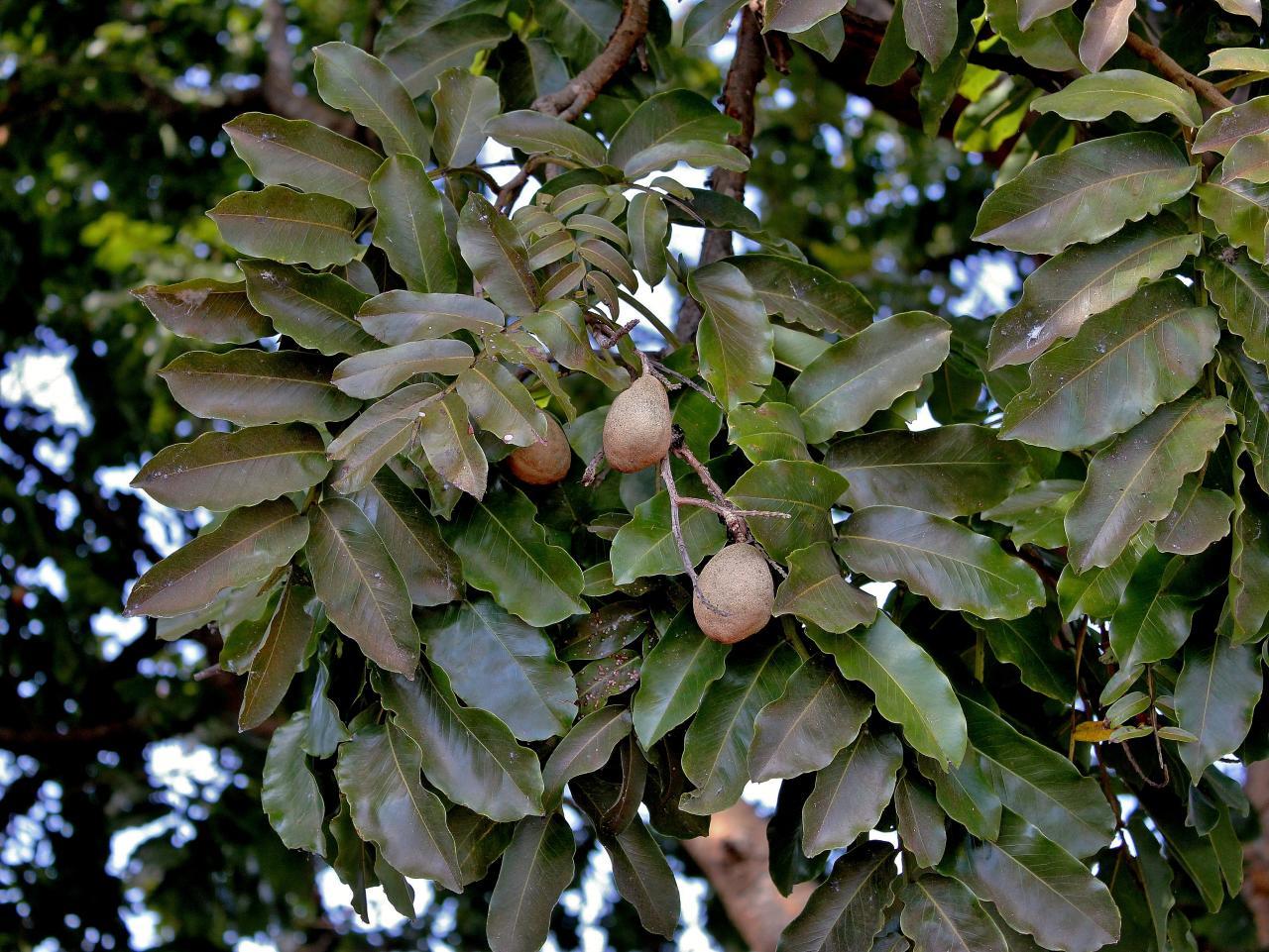 <em>Community Impact</em>