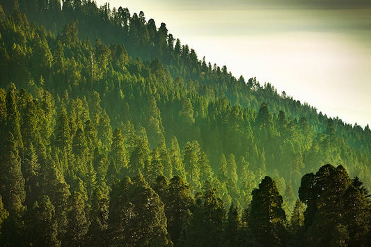 5 Ways To A More Sustainable Hair Care Routine