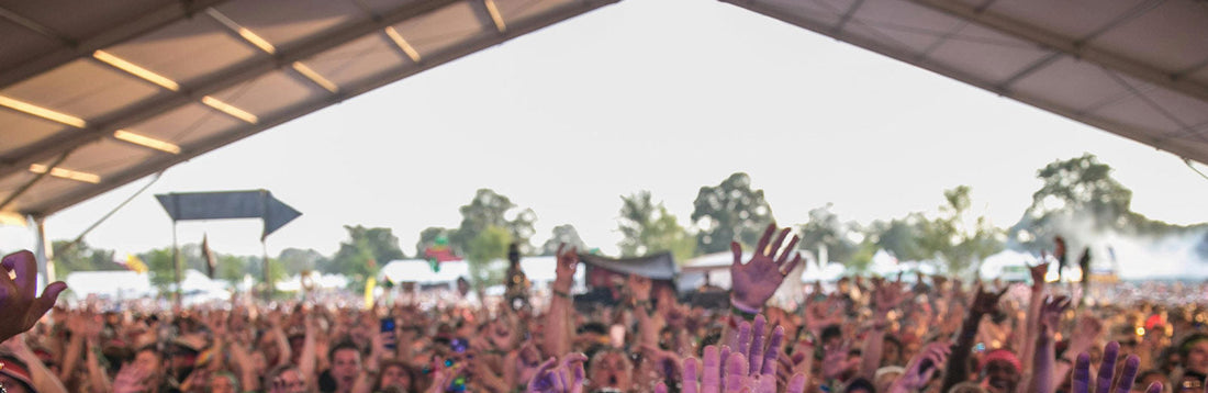image of a crowd of raised hands at a music festival