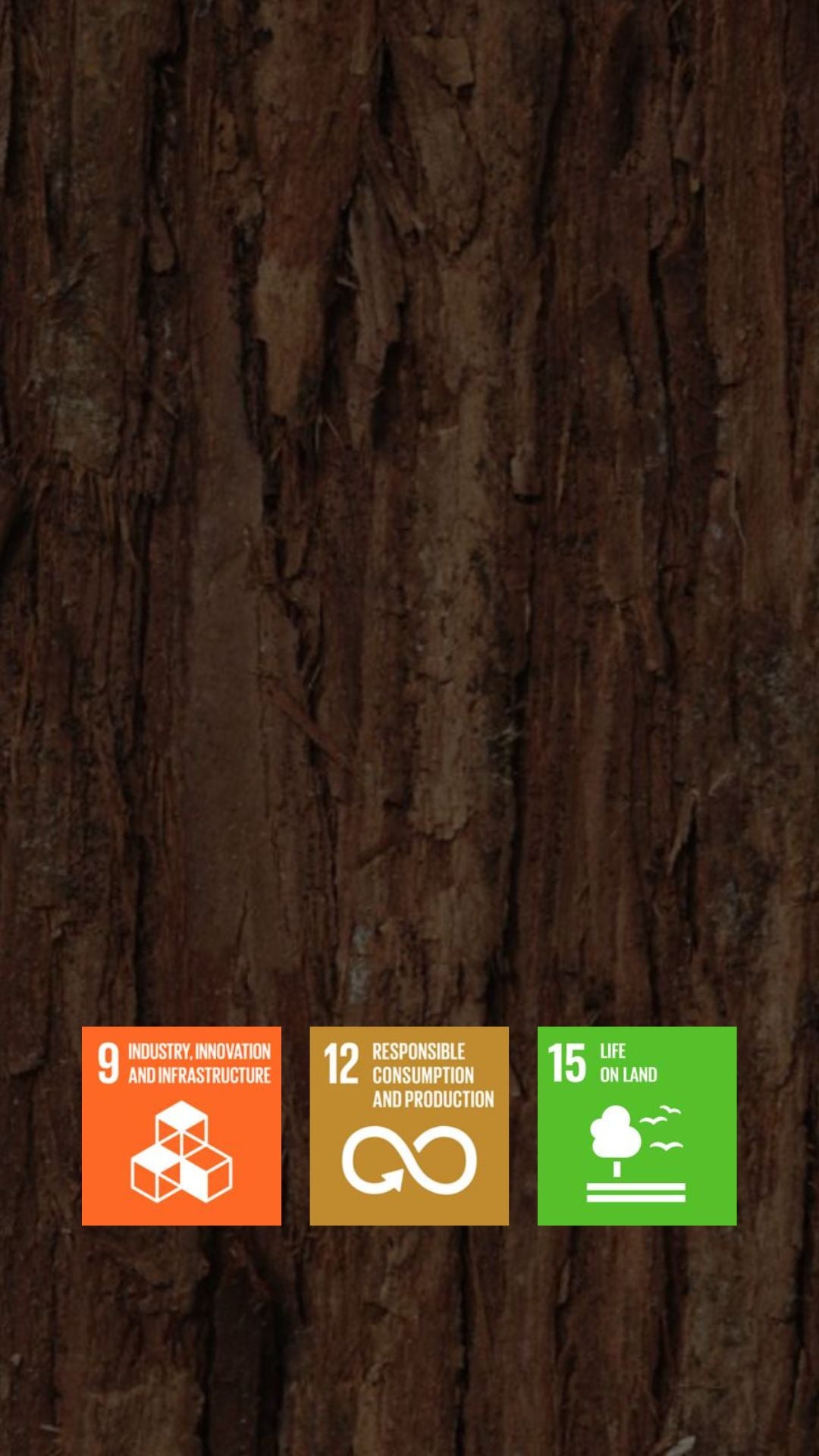 <em>Responsible  Sourcing</em>