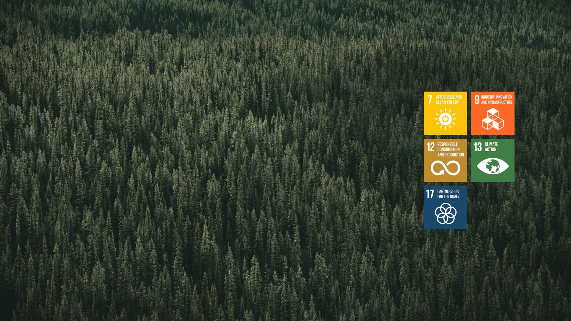 <em>Reduce </em></br> <em>Carbon Footprint</em>