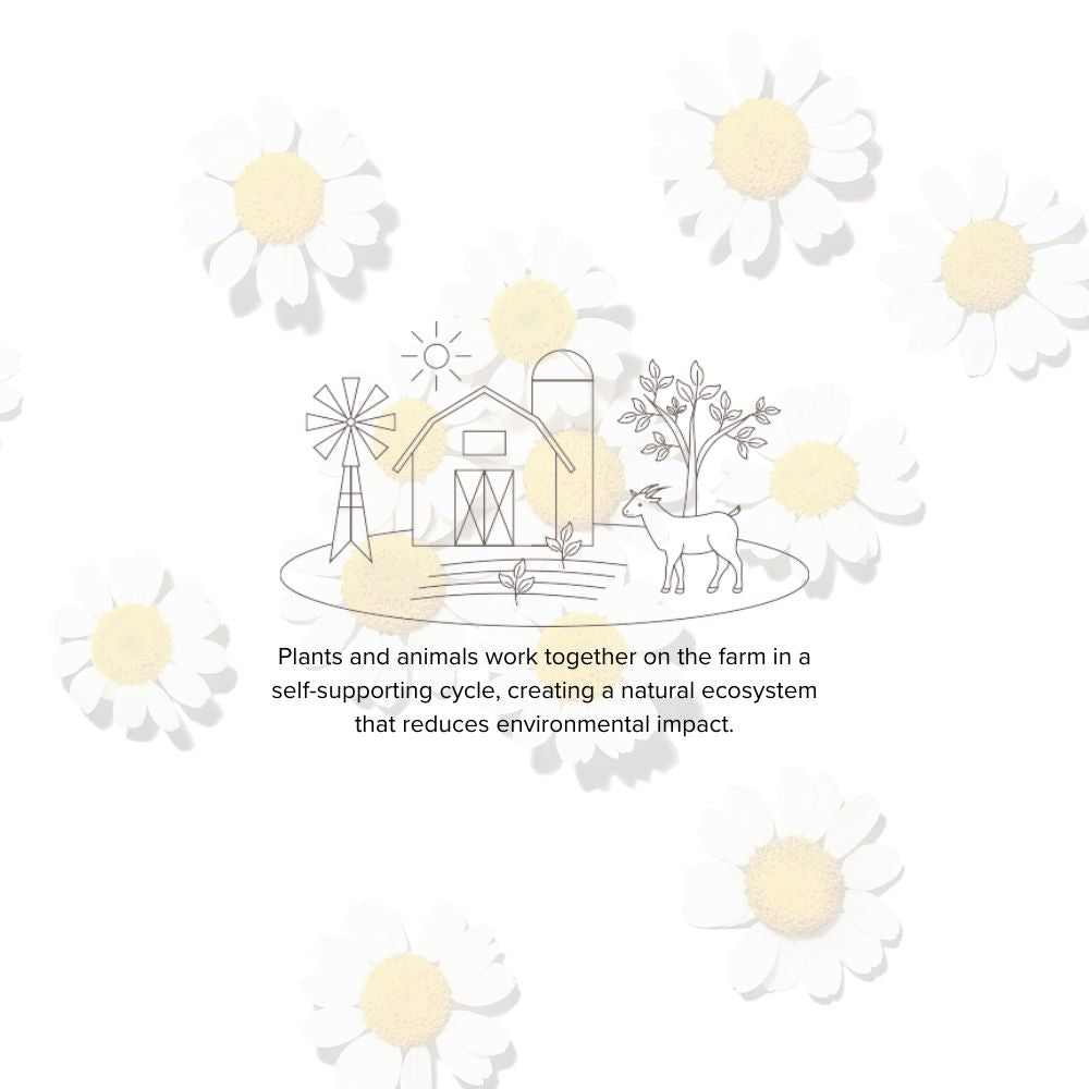 <em>Cultivating </em>Clean Beauty