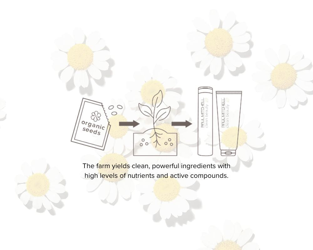 <em>Cultivating </em>Clean Beauty