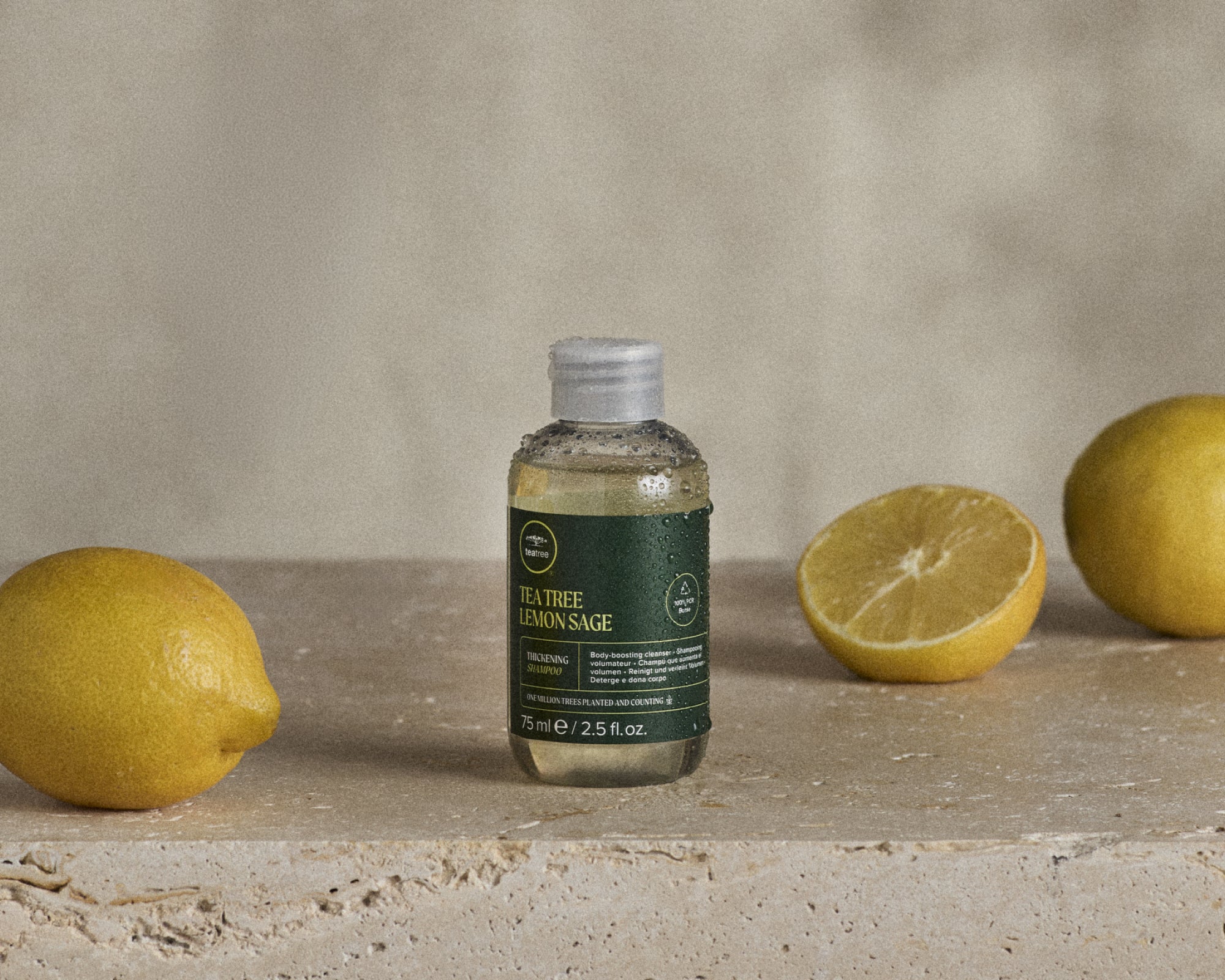 FREE Travel-Size Tea Tree Lemon Sage Shampoo <em>With</em> <em>Every Order*</em>