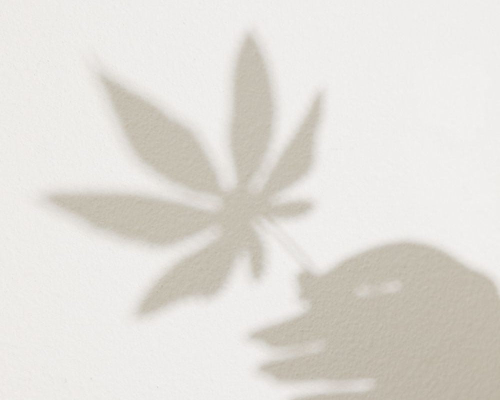 Hemp, Hemp <em>Hooray!</em>