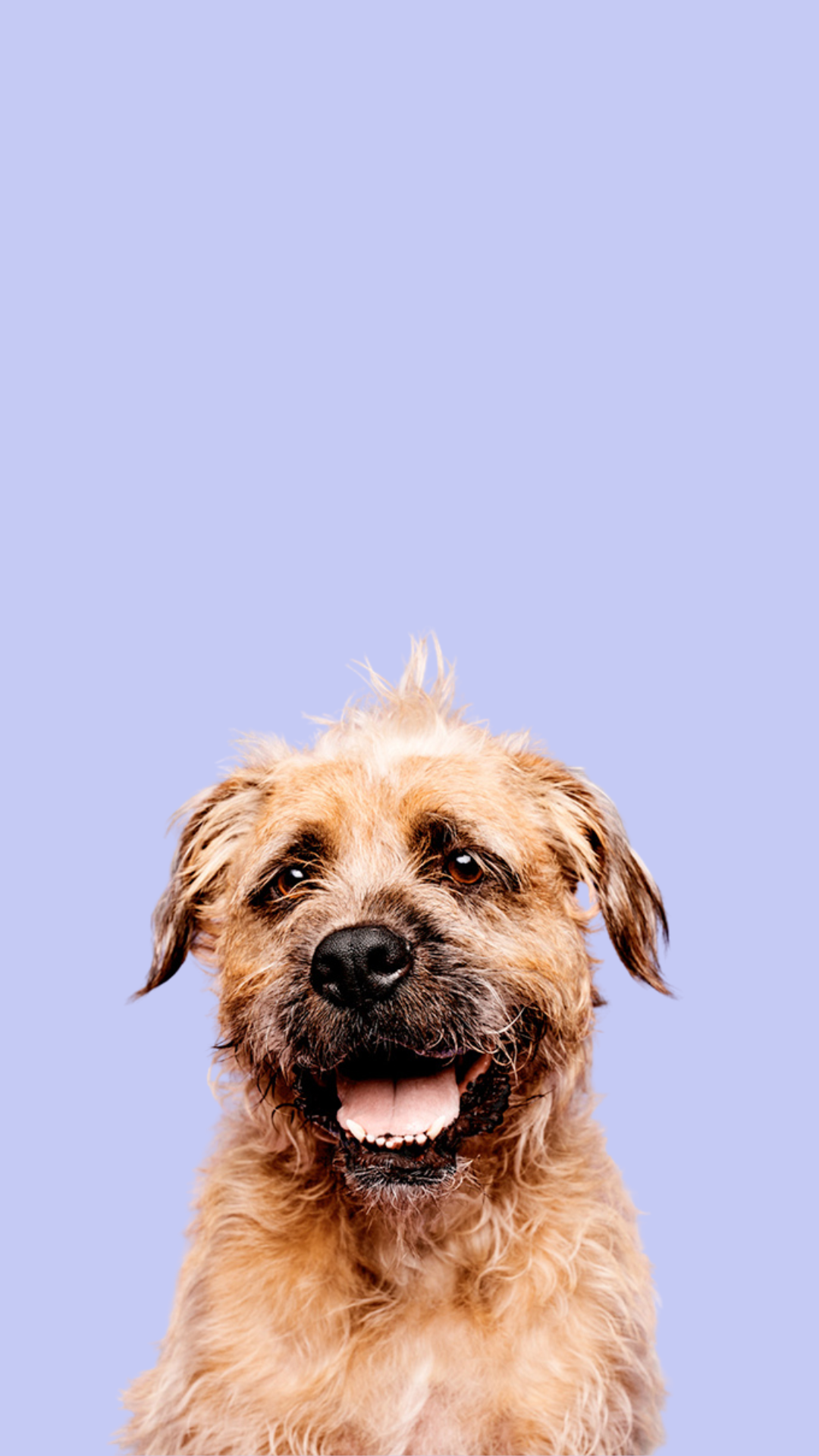 <em>Committed to Cruelty-Free Products and Sourcing</em>