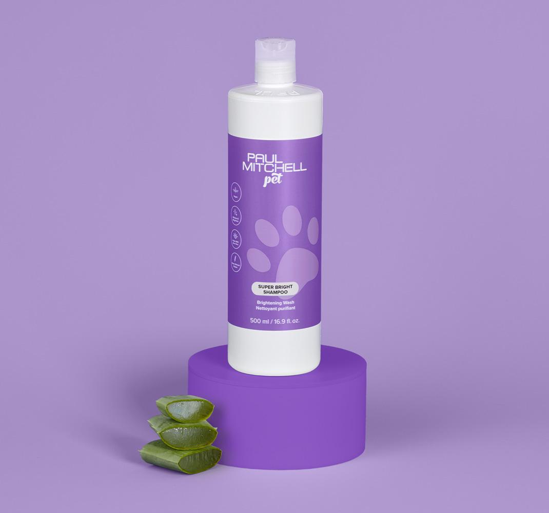 <em>Super Bright Shampoo</em>