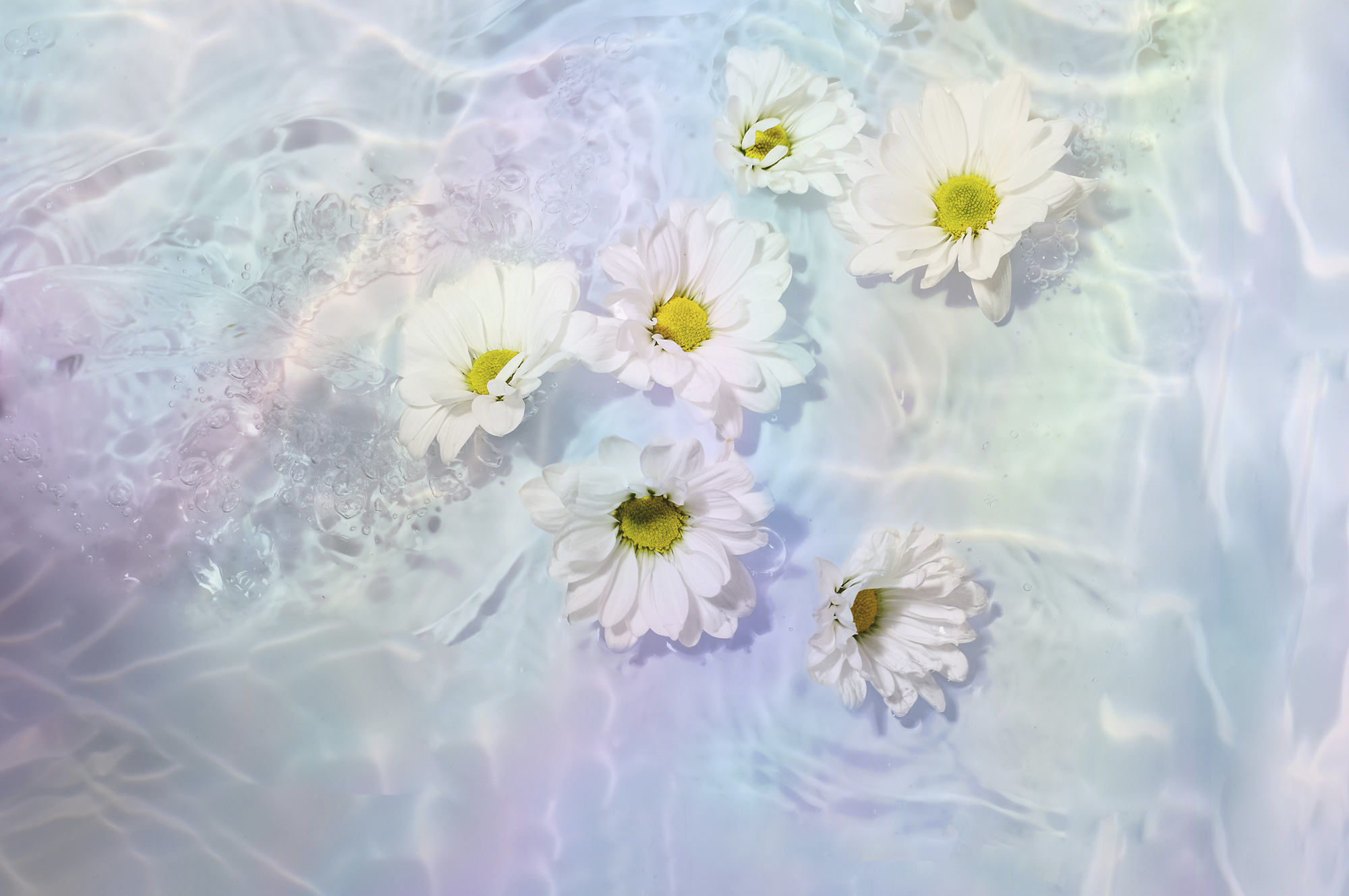<em>Cultivating Clean Beauty</em>