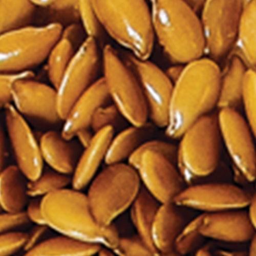 Flax Seed