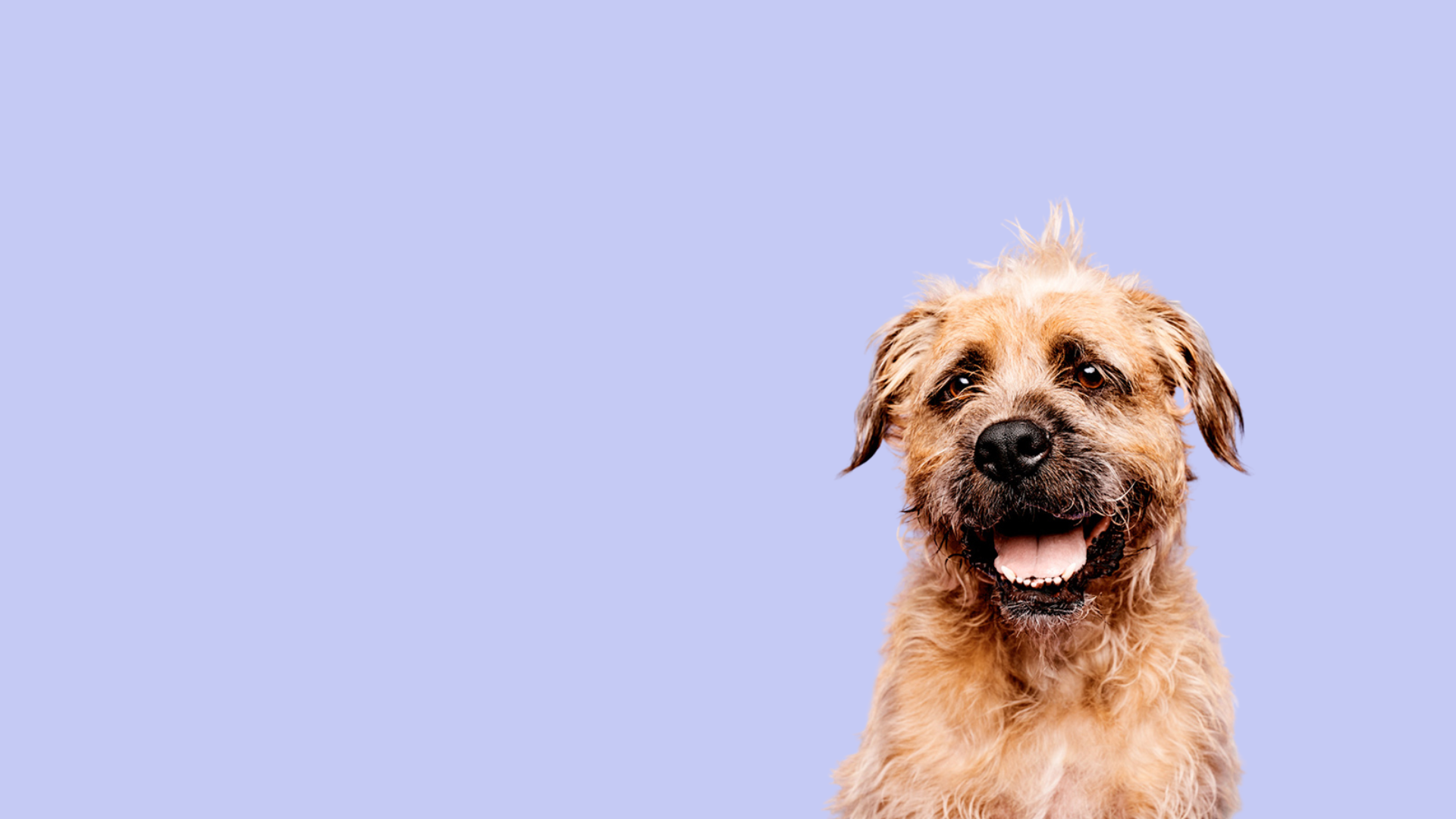 <em>Committed to Cruelty-Free Products and Sourcing</em>