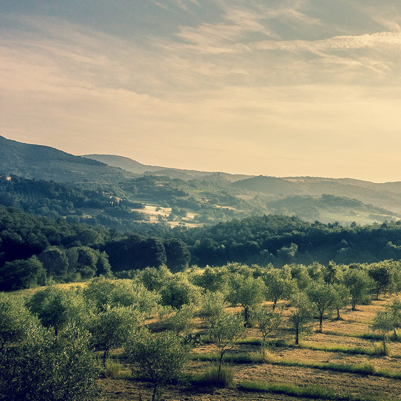 <em>Our Long Heritage of Giving Back + Caring For The Earth</em>