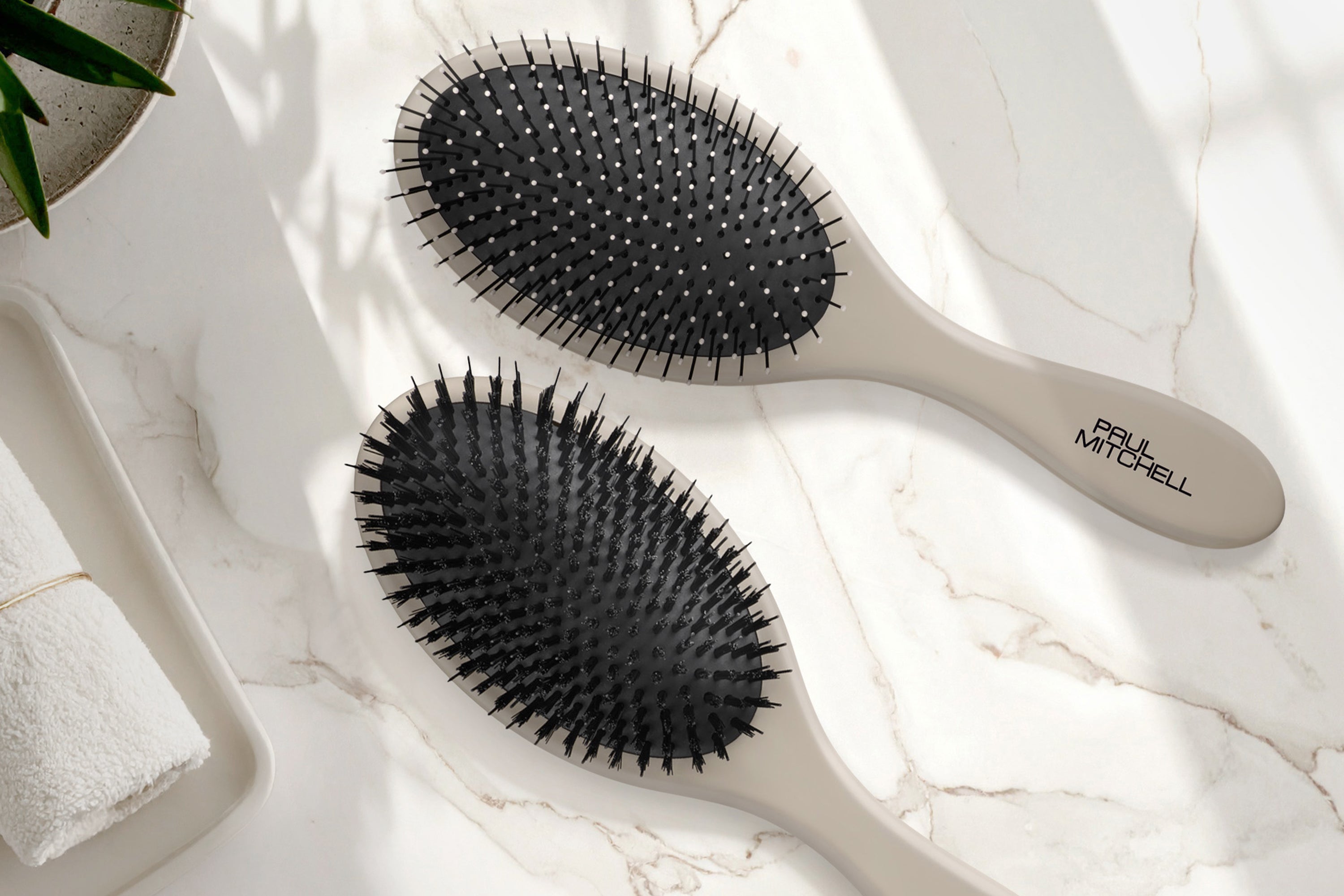 <em>Brush Better</em>