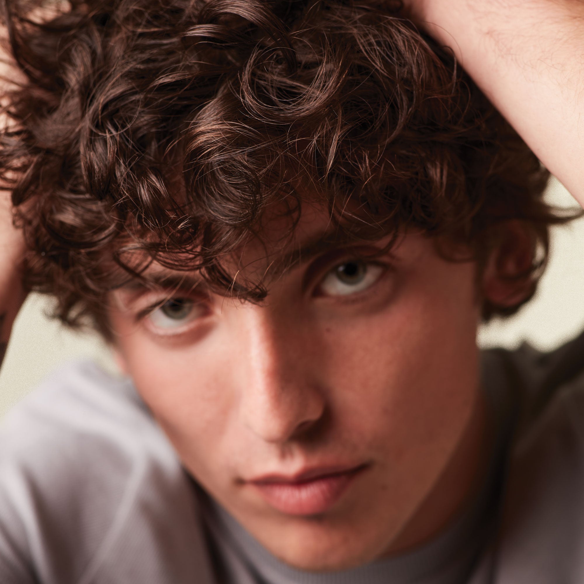 mitch model