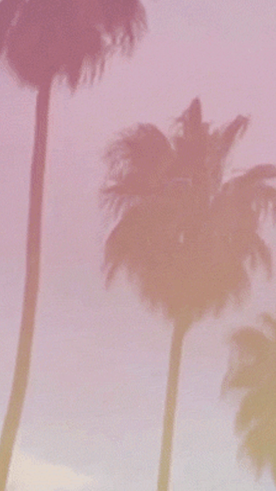 Palm trees mobile background image