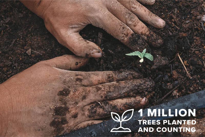 Celebrating Earth Month: Growing Together