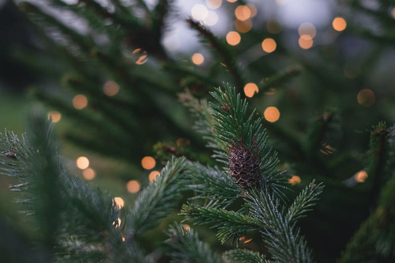 5 Ways To Go Green For The Holidays