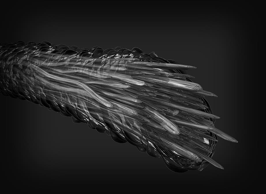 Kera Triplex Frame 1, a hair strand with split ends.