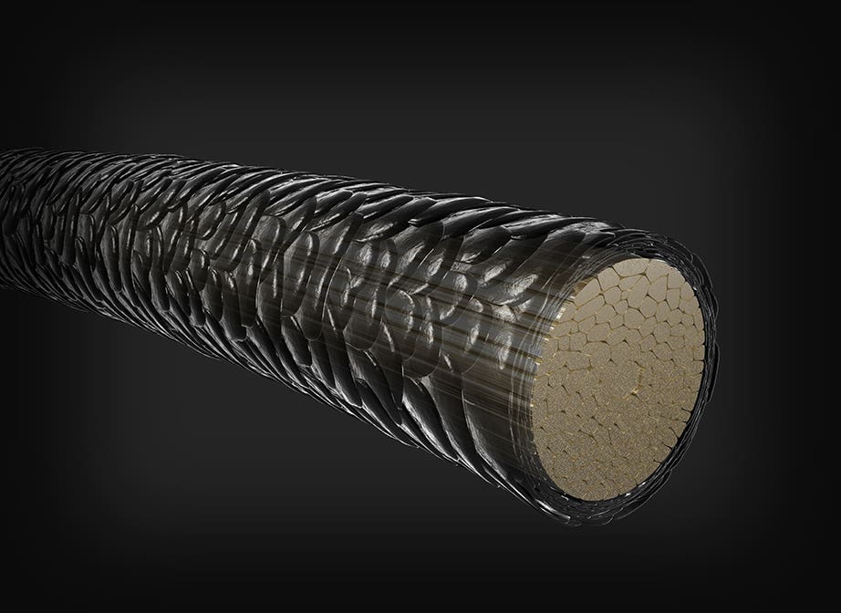 Kera Triplex Frame 3, a healthy strand of hair.
