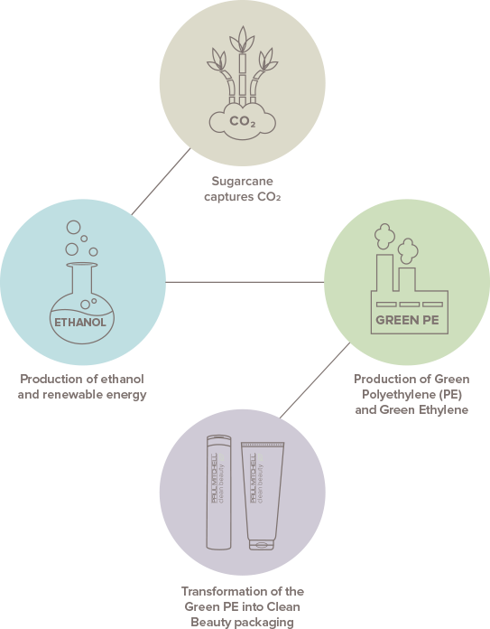a chart mapping the sustainable lifecycle of clean beauty