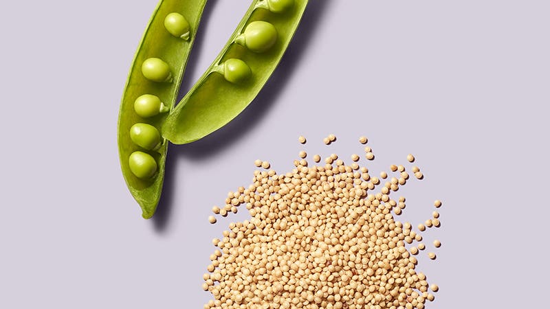 Paul Mitchell Clean Beauty Repair Ingredients