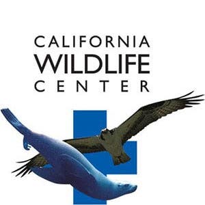 California Wildlife Center logo