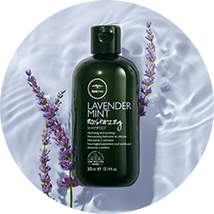 artistic image of the tea tree lavender mint category