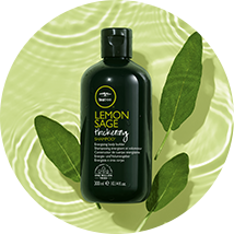 artistic image of the tea tree lemon sage category