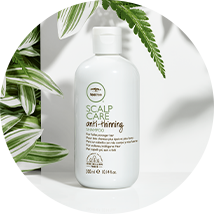 artistic image of the tea tree scalp care category