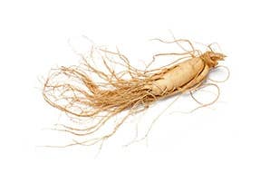 image of ginseng