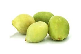image of kakadu plum