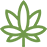 seeds icon